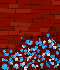 Image showing Blue flowers on a wall