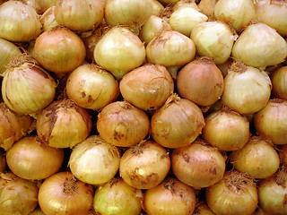 Image showing onion background