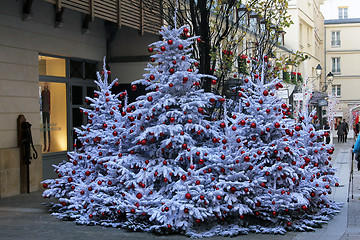 Image showing Christmas tree on the streets of Paris