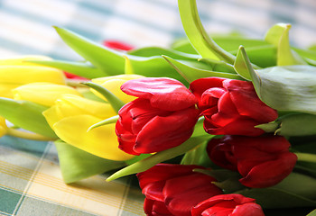 Image showing Tulips 