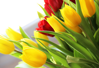 Image showing Tulips