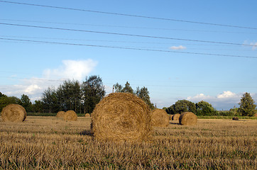 Image showing straw bales agriculture field blue cloudy sky 