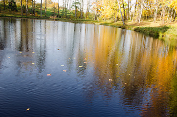 Image showing autumn leaves lake water colorful tree reflections 