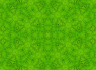 Image showing Green leaf abstract pattern