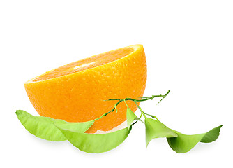 Image showing Halh of orange and branch