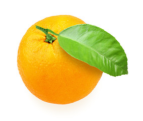 Image showing Orange-fruit with green leaf