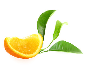 Image showing Part of orange and branch with green leaf