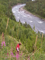 Image showing river