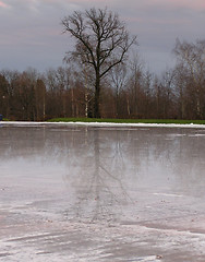 Image showing reflectin on ice