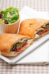 Image showing ciabatta panini sandwichwith vegetable and feta