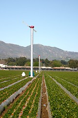 Image showing Agricultural Windmills