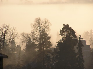 Image showing morningfog