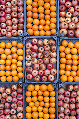 Image showing Pomegranates and oranges
