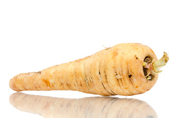 Image showing Parsnip