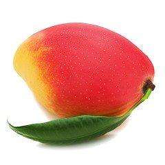 Image showing Fresh mango fruit with green leaves isolated on white background