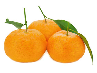 Image showing Fresh ripe tangerines with green leaves isolated on white backgr