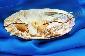Image showing Composition from pearls, coral and orchids on blue background.