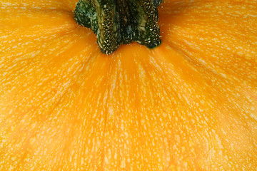 Image showing Pumpkin