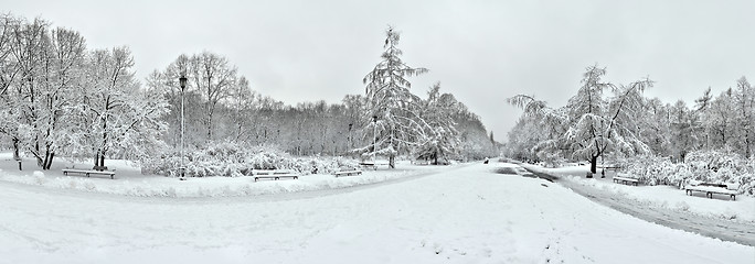 Image showing Panoramic view of park