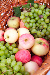 Image showing apples and grapes