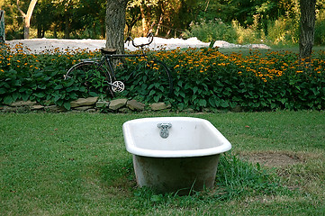 Image showing Bath Time on the Farm