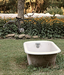 Image showing Bath Time on the Farm