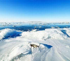 Image showing  Stones in the ice on the Baltic Sea coast 