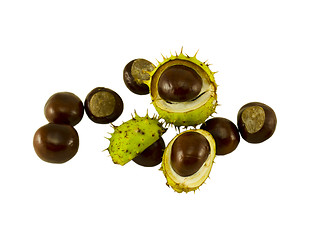 Image showing chestnut composition and three chestnuts in shell  