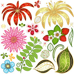 Image showing Set colorful floral design elements