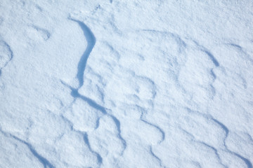 Image showing Snow texture 