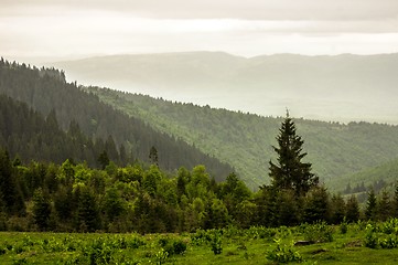 Image showing Beautiful landscape at the mountains