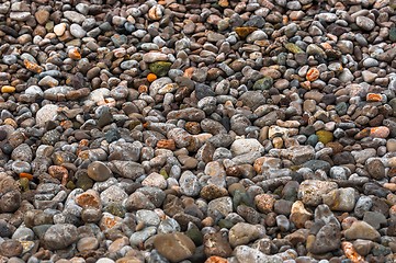 Image showing Pebble stones at the sea