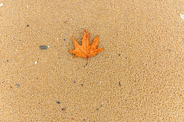 Image showing Closeup of sand texture