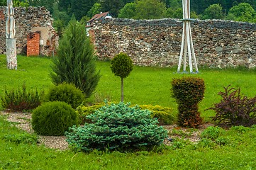 Image showing Beautiful park with bushes and plants