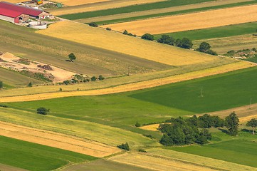 Image showing Green fields aerial view before harvest