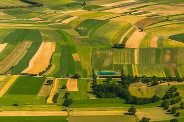 Image showing Green fields aerial view before harvest