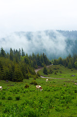 Image showing Beautiful landscape at the mountains