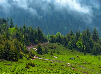 Image showing Beautiful landscape at the mountains