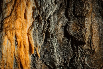 Image showing Underground photo in a cave with bright lighr