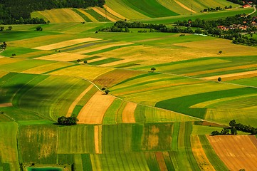 Image showing Green fields aerial view before harvest