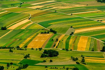 Image showing Green fields aerial view before harvest