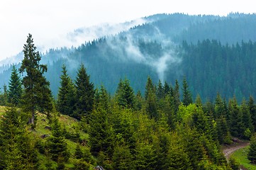 Image showing Beautiful landscape at the mountains