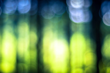 Image showing Abstract out of focus green background