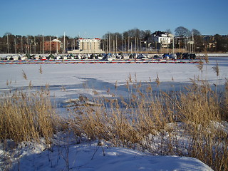 Image showing Frozen sea