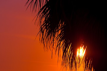 Image showing Golden sunset at a mediterranean area