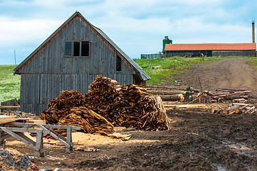 Image showing Lumber industry, outdoors