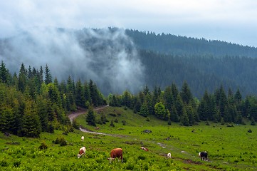 Image showing Beautiful landscape at the mountains