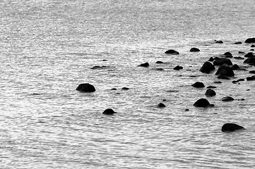 Image showing Smooth stones in the water