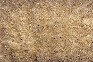 Image showing Closeup of sand texture