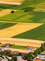 Image showing Green fields aerial view before harvest